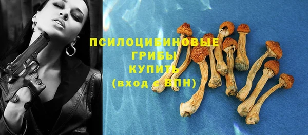 a pvp Вязьма
