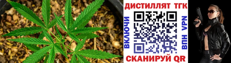 ТГК Wax  Купить  Славск 