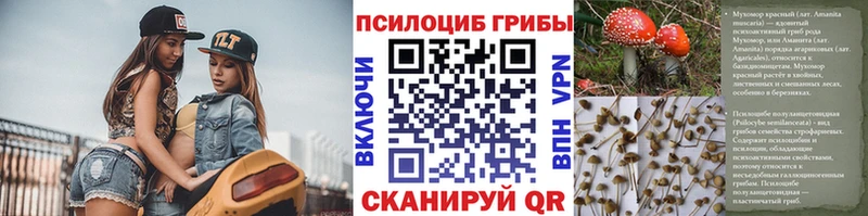 Галлюциногенные грибы прущие грибы  Купить  Славск 